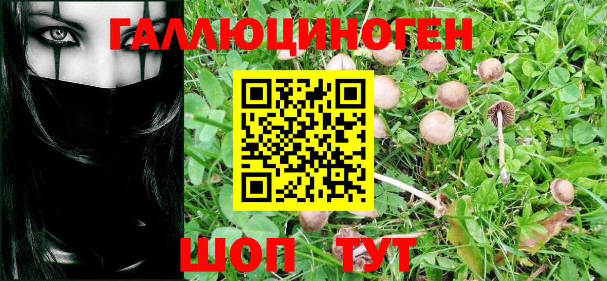 Псилоцибиновые грибы мухоморы Пушкино