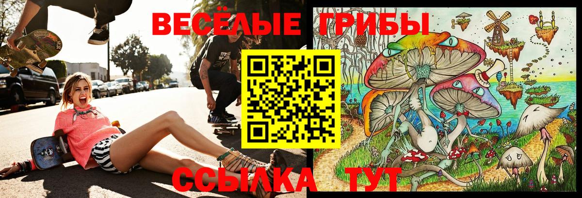 Пушкино  Псилоцибиновые грибы мицелий  Вход с VPN  Псилоцибиновые грибы мицелий 